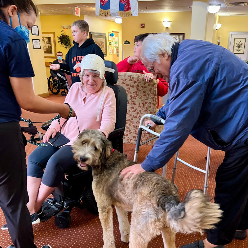 A grey Bernadoodle is looking at the camera, surrounded by happy older people in the lobby of a senior center.